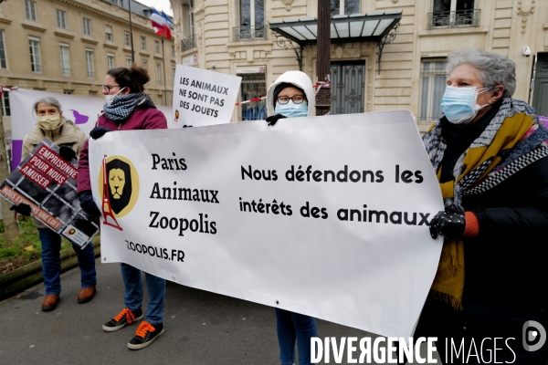 Manifestation pour la defense des animaux