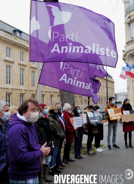 Manifestation pour la defense des animaux