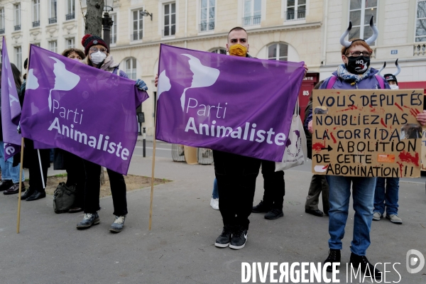 Manifestation pour la defense des animaux