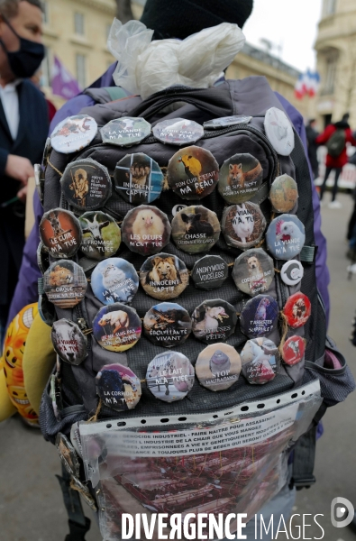 Manifestation pour la defense des animaux