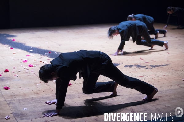 ECHO de Catherine Diverrès
