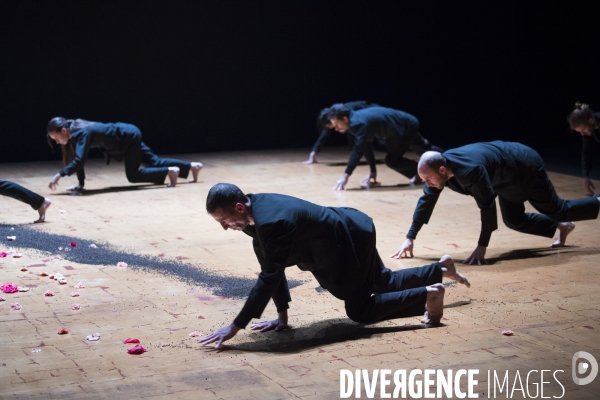 ECHO de Catherine Diverrès