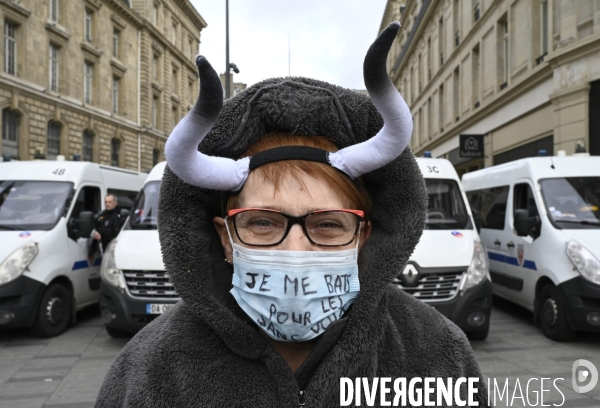 Manifestation contre le projet de loi SECURITE GLOBALE PPL, la marche des libertés du 30 janvier 2021. Demonstration against new security law project against freedom of information.