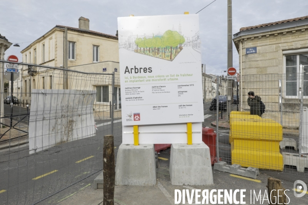 Micro-forêt urbaine à Bordeaux