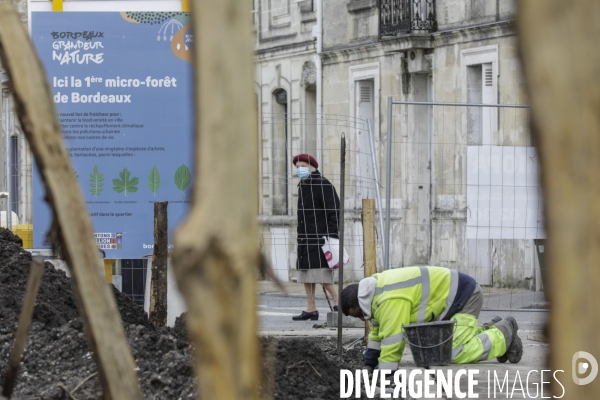 Micro-forêt urbaine à Bordeaux