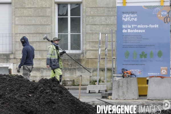 Micro-forêt urbaine à Bordeaux