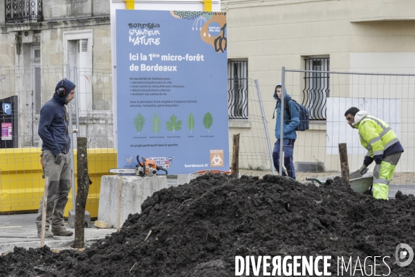 Micro-forêt urbaine à Bordeaux