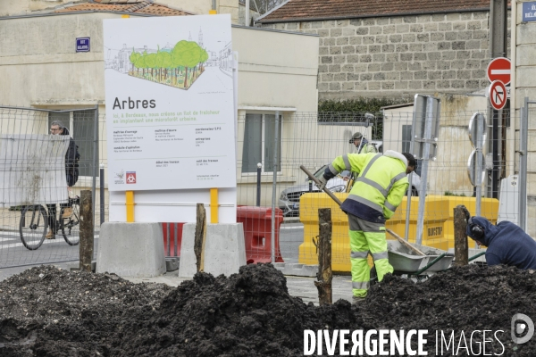 Micro-forêt urbaine à Bordeaux