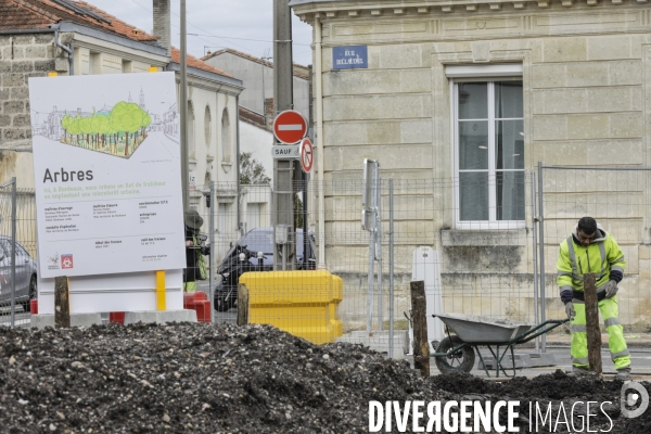 Micro-forêt urbaine à Bordeaux