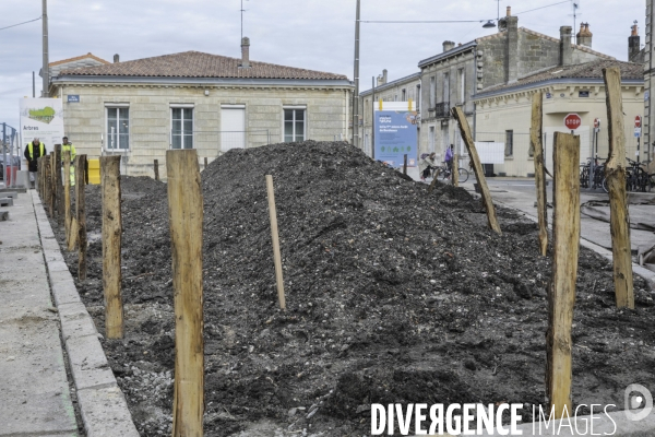 Micro-forêt urbaine à Bordeaux