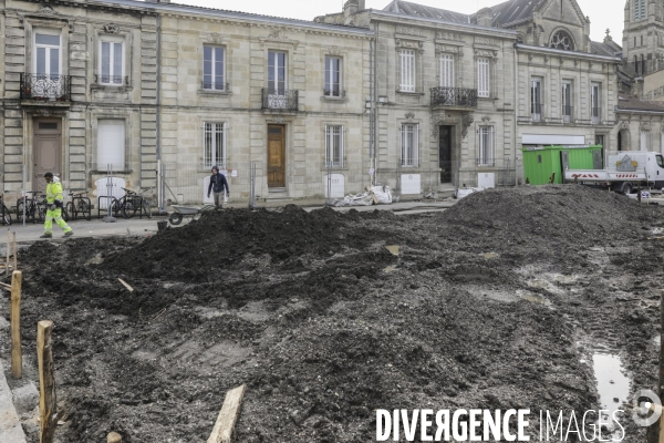 Micro-forêt urbaine à Bordeaux