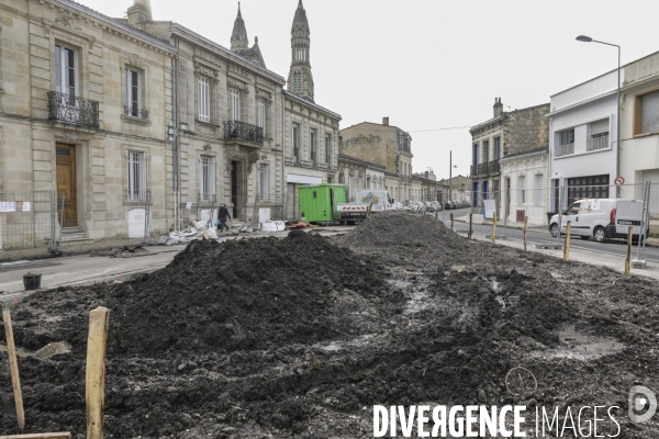 Micro-forêt urbaine à Bordeaux