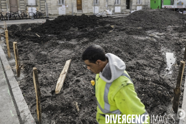 Micro-forêt urbaine à Bordeaux