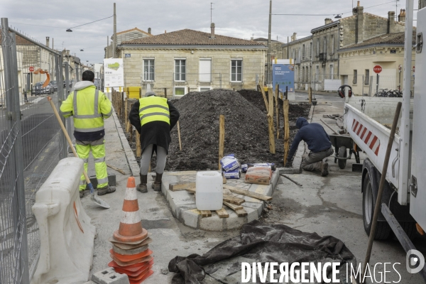 Micro-forêt urbaine à Bordeaux