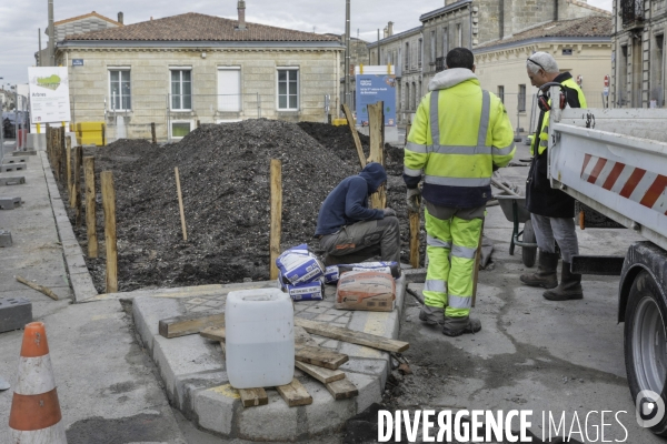 Micro-forêt urbaine à Bordeaux