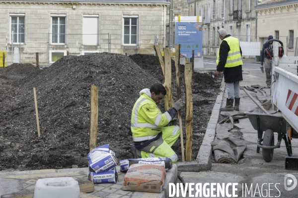 Micro-forêt urbaine à Bordeaux