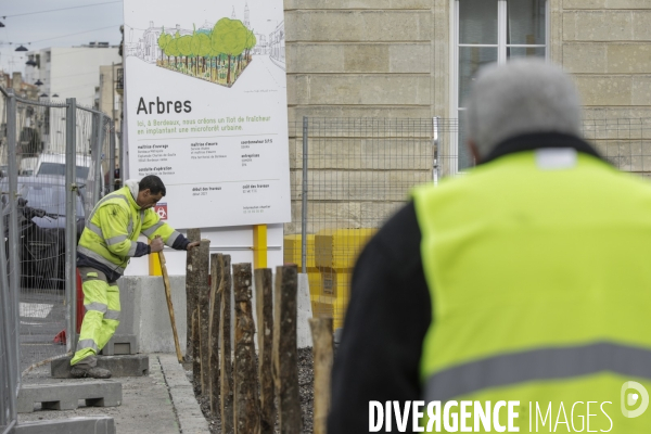 Micro-forêt urbaine à Bordeaux