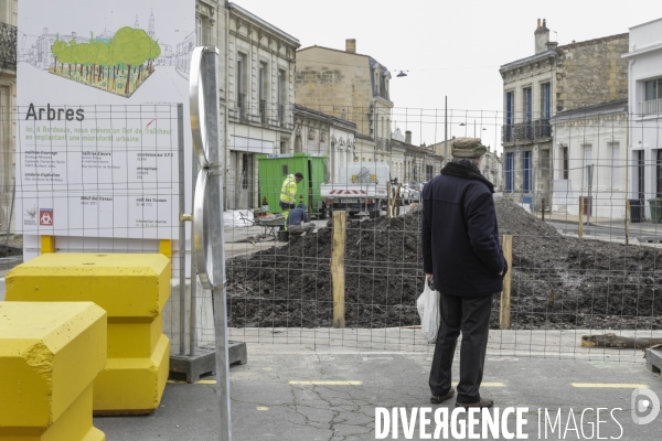 Micro-forêt urbaine à Bordeaux