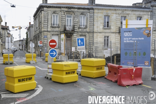 Micro-forêt urbaine à Bordeaux