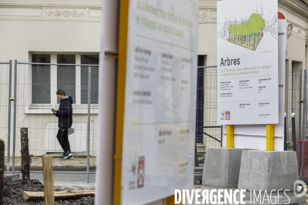 Micro-forêt urbaine à Bordeaux