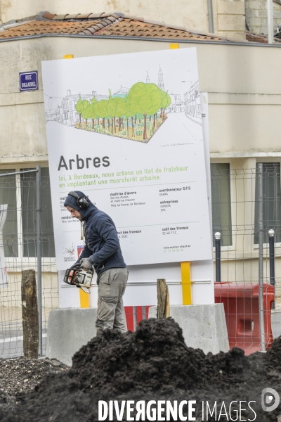 Micro-forêt urbaine à Bordeaux