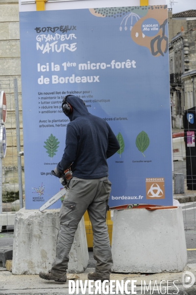 Micro-forêt urbaine à Bordeaux