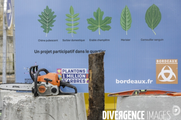 Micro-forêt urbaine à Bordeaux