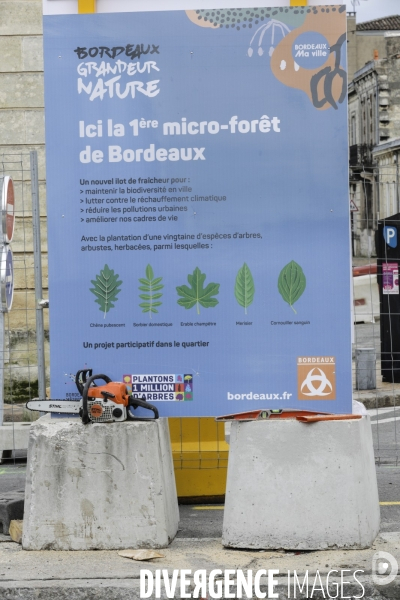 Micro-forêt urbaine à Bordeaux