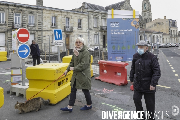 Micro-forêt urbaine à Bordeaux