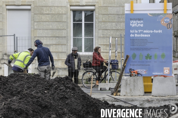 Micro-forêt urbaine à Bordeaux