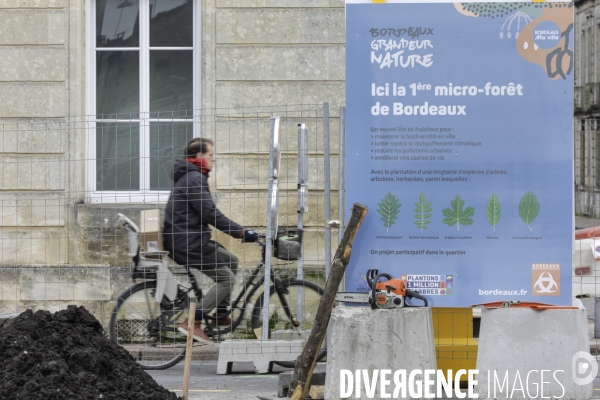 Micro-forêt urbaine à Bordeaux