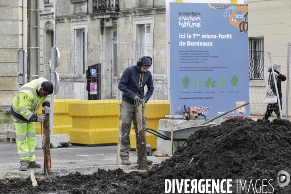 Micro-forêt urbaine à Bordeaux