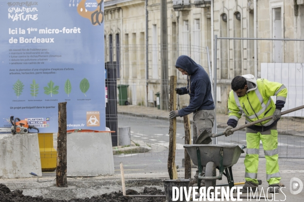 Micro-forêt urbaine à Bordeaux