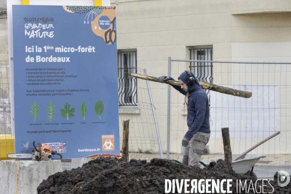 Micro-forêt urbaine à Bordeaux