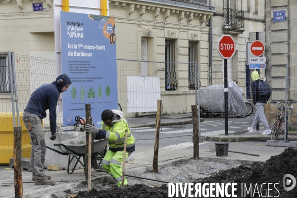 Micro-forêt urbaine à Bordeaux