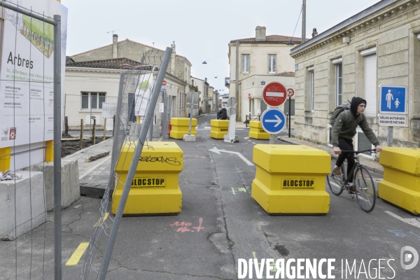 Micro-forêt urbaine à Bordeaux