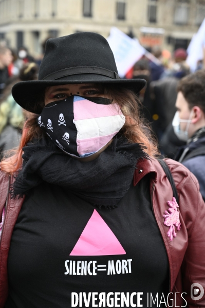 Marche contre les LGBTQIAphobies 2021, Marche des fiertés.