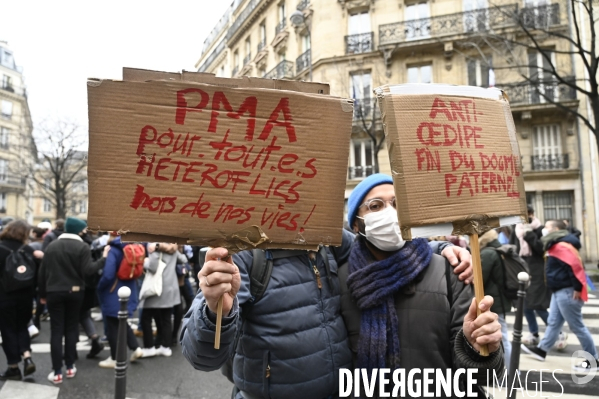 Marche contre les LGBTQIAphobies 2021, Marche des fiertés.