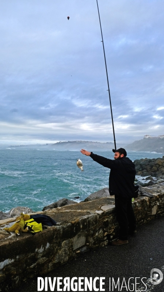 Au Pays  Basque