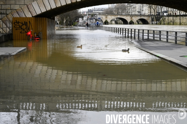 La Seine en crue.