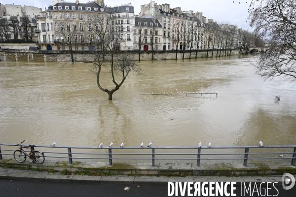 La Seine en crue.