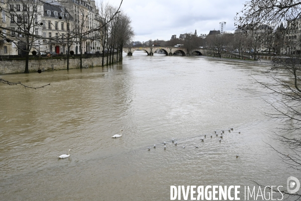 La Seine en crue.