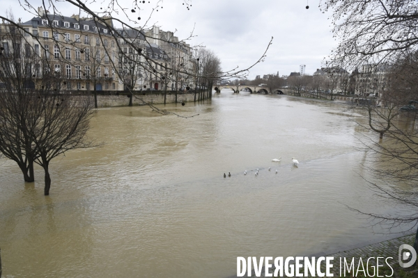 La Seine en crue.