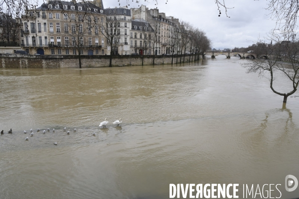 La Seine en crue.