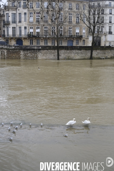 La Seine en crue.