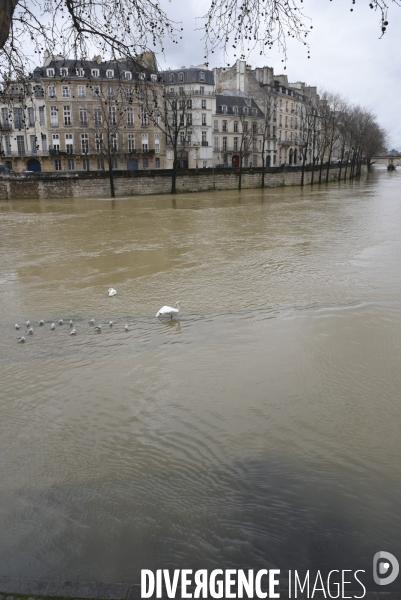 La Seine en crue.