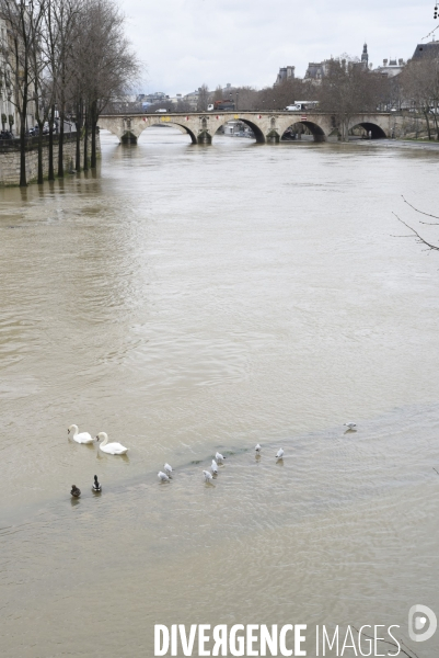 La Seine en crue.