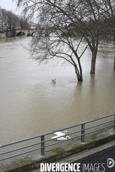 La Seine en crue.