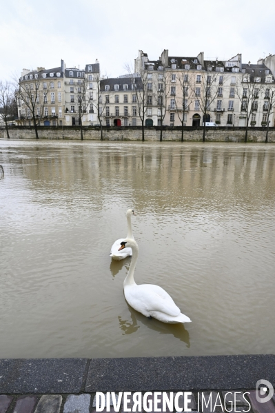 La Seine en crue.