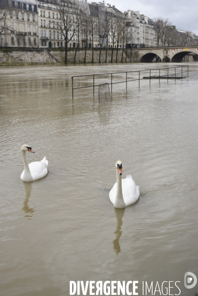 La Seine en crue.